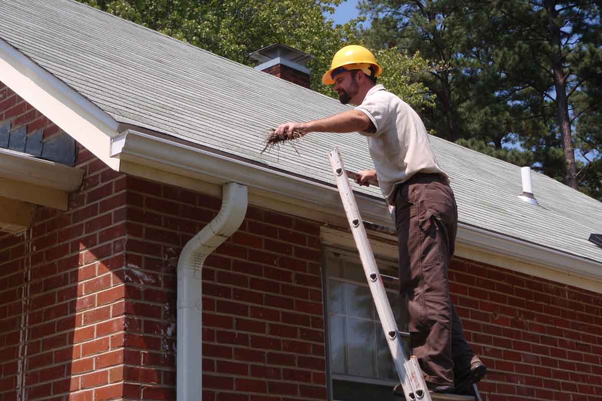 Avoid Injury During Exterior Home Repair Best Pick Reports